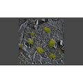 Gamer's Grass - Tiny Tufts Dry Green
